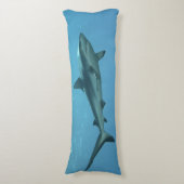 ヤップ島のサンゴ礁にあるグレーリーフシャーク | ボディピロー (正面縦)