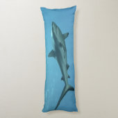 ヤップ島のサンゴ礁にあるグレーリーフシャーク | ボディピロー (裏面 (縦))