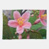 ヤトロファ花と花芽 キッチンタオル (横)