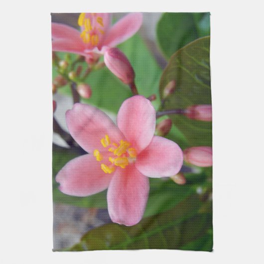 ヤトロファ花と花芽 キッチンタオル (縦)