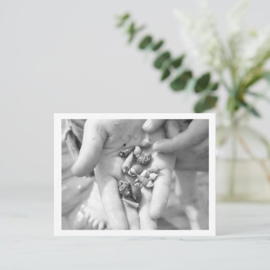 ヤドカリ ポストカード (スタンド正面)