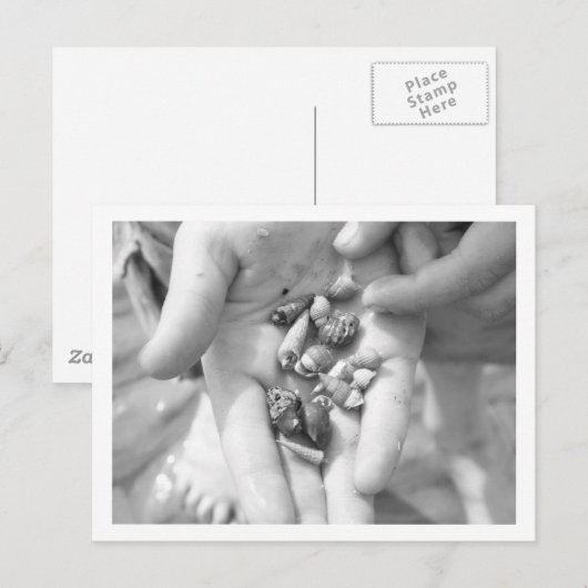 ヤドカリ ポストカード (正面/裏面)