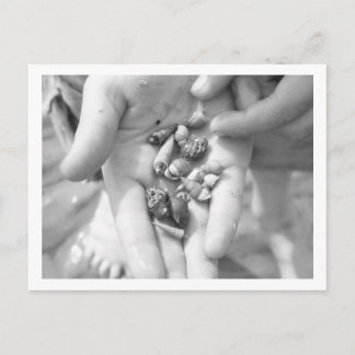 ヤドカリ ポストカード