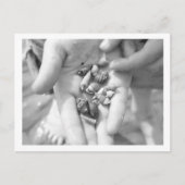 ヤドカリ ポストカード (正面)