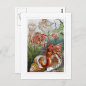 ヤドカリ ポストカード (正面/裏面)