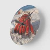 ヤドカリ ラウンド壁時計 (傾斜)