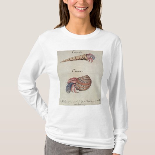 ヤドカリ Tシャツ (正面)