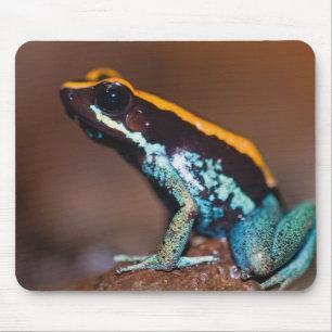 ヤドクガエル科のカエル、Phyllobates vittatus マウスパッド
