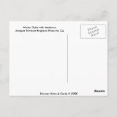 ヤドリギのある冬のオーク ポストカード (裏面)