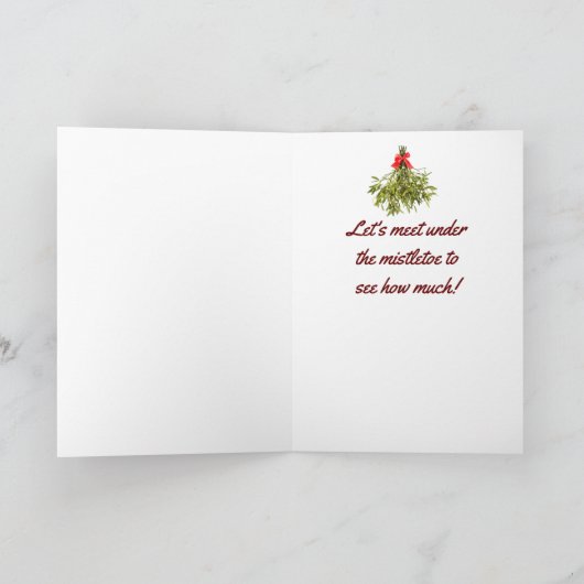 *ヤドリギの下で会って、いくらか見てください* シーズンカード (内部)