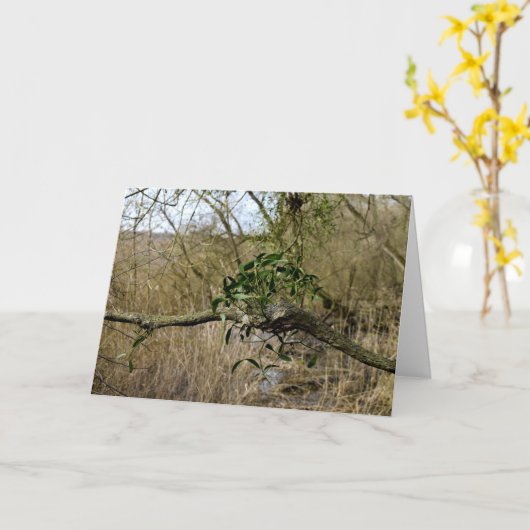 ヤドリギ カード (黄色い花)