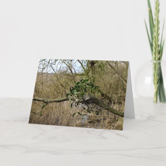 ヤドリギ カード (正面)