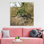 ヤドリギ キャンバスプリント (インサイチュ (リビング))