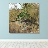 ヤドリギ キャンバスプリント (インサイチュ (ウッドフロア))