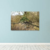 ヤドリギ キャンバスプリント (インサイチュ (ウッドフロア))