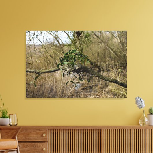 ヤドリギ キャンバスプリント (インサイチュ (リビング))
