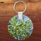 ヤドリギ キーホルダー (正面)