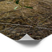 ヤドリギ ポスター (角)