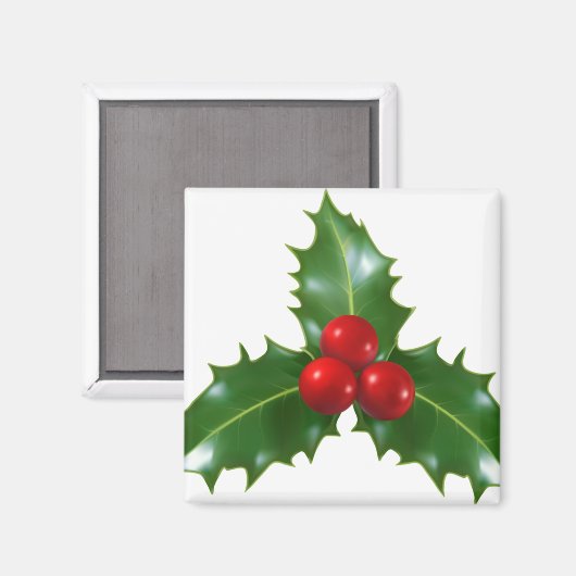 ヤドリギ マグネット (正面/裏面)