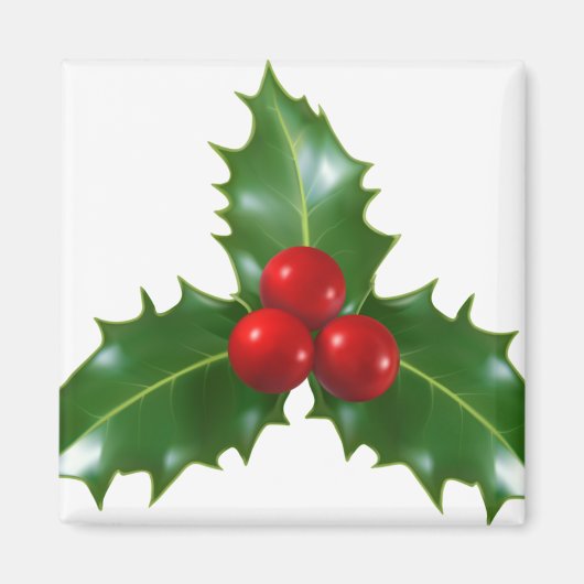 ヤドリギ マグネット (正面)