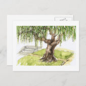 ヤナギの木の郵便はがき ポストカード (正面/裏面)