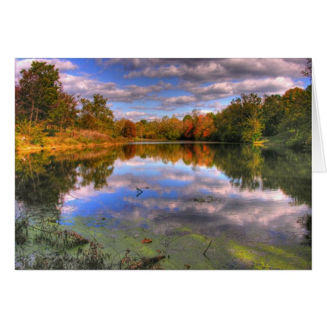 ヤナギの池 (正面横)