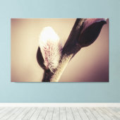 ヤナギの芽 – 新しい生活のスラスト キャンバスプリント (インサイチュ (ウッドフロア))