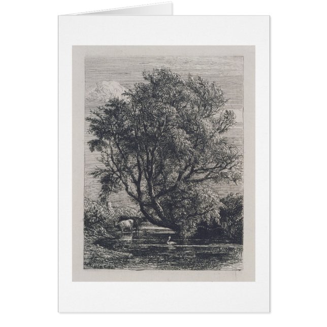 ヤナギ(エッチング) (正面)