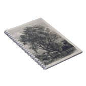 ヤナギ(エッチング) ノートブック (右側)
