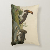 ヤナギ（グロウース） - Audubon's Birds of America アクセントクッション (正面(垂直))