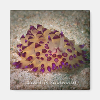 ヤノラスサビンキニ角磁石 マグネット