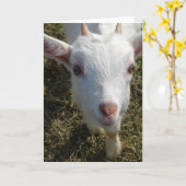 ヤフレンドリーギ カード (黄色い花)