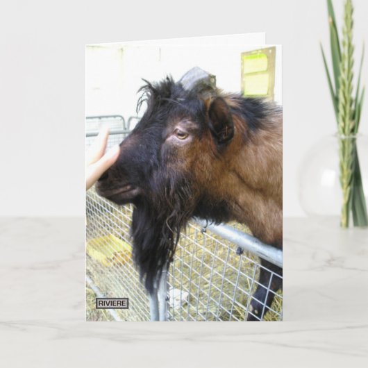 ヤフレンドリーギ カード (正面)