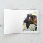 ヤフレンドリーギ カード (内部)