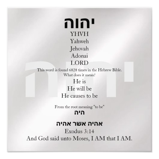 ヤフ フォトプリント            (正面)