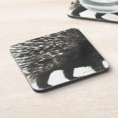 ヤマアラシのクイル コースター (左側)