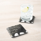 ヤマアラシのクイル コースター (右側)