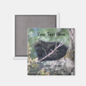 ヤマアラシ自然写真磁石 マグネット (正面/裏面)