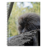 ヤマアラシ ノートブック (正面)