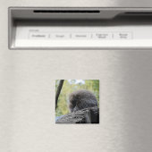 ヤマアラシ マグネット (インサイチュ (食洗機))