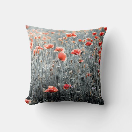 ヤマケシ クッション (正面)