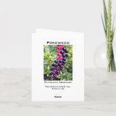 ヤマゴボウ属のメッセージカード カード (裏面)