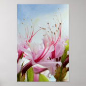 ヤマツツジ ポスター (正面)