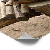 ヤマネコ ポスター (角)