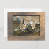 ヤマネコ ポストカード (正面/裏面)