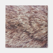 ヤマネコ マグネット (正面)