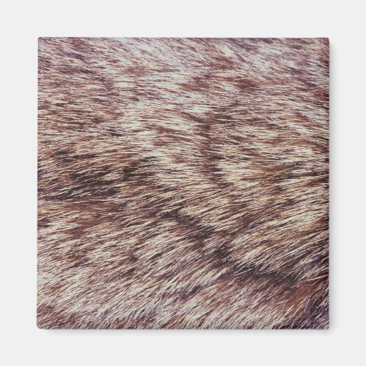 ヤマネコ マグネット (正面)