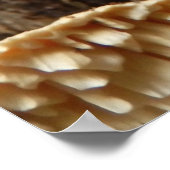 ヤマノイモのポスター ポスター (角)