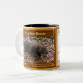 ヤマビーバー、絶滅寸前の齧歯動物、彼自身の- ツートーンマグカップ (正面左)