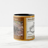 ヤマビーバー、絶滅寸前の齧歯動物、彼自身の- ツートーンマグカップ (中央)